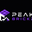 Peak Brickz logo